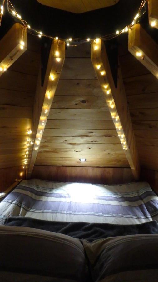 Cheviot Tree House Lodge Bed & Breakfast מראה חיצוני תמונה