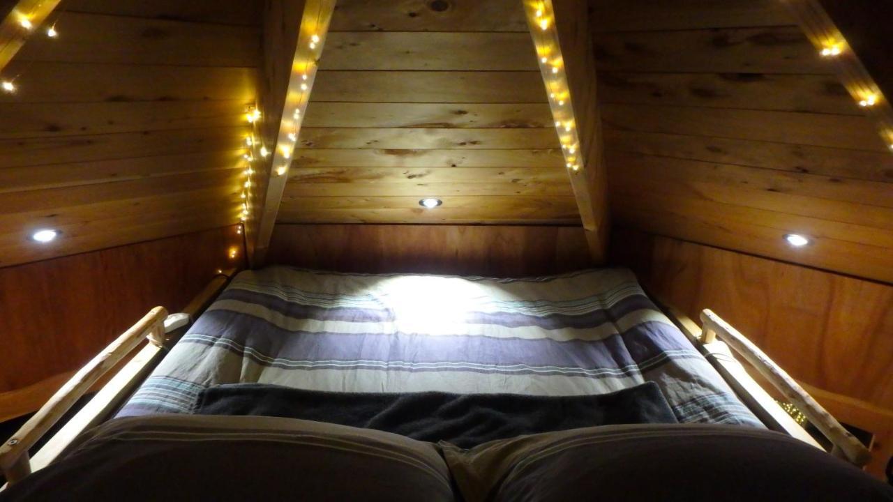 Cheviot Tree House Lodge Bed & Breakfast מראה חיצוני תמונה